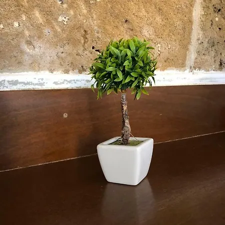 Happy Sardinia Zaccaria Apartment Alghero